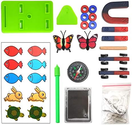 EUDAX Labs Junior Science N/S Magnet Set for Education Science Experiment Tools Icluding Bar/Ring/Horseshoe/Compass Magnets by EUDAX