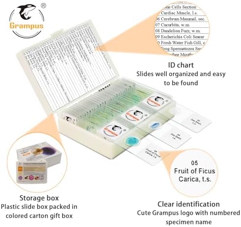 30 Prepared Microscope Slides with Specimens for Kids Students - Plants, for Biological Science Lab, Children's Science Education, Homeschooling Use - Image 2