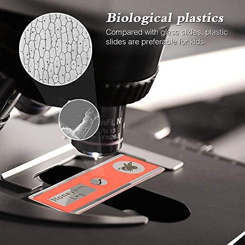 60pcs Microscope Slides with Specimens for Kids – Kids Prepared Stereo Microscope Slides for Stereo Microscope and Other, Animals Insects Plants Flowers Specimens - Image 5