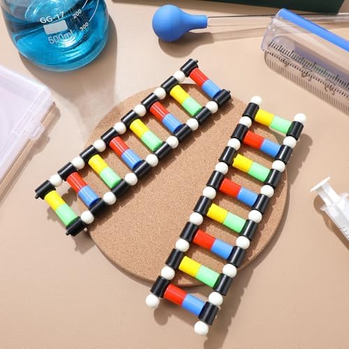 DNA Model, DNA Double Helix Model Kit - Image 6