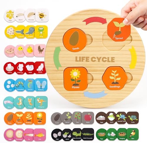 Woodtoe Life Cycle Toys, 12 Themes Montessori Science Toys for Kid Ages 3-6 by Woodtoe