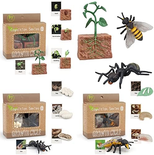 Montessori Life Cycle Animal Figurines Learning & Education Toys, Plastic Insect Life Cycle Toys for Kids, Preschool Learning Activities (Plant Bee Ant) by MIKNEKE