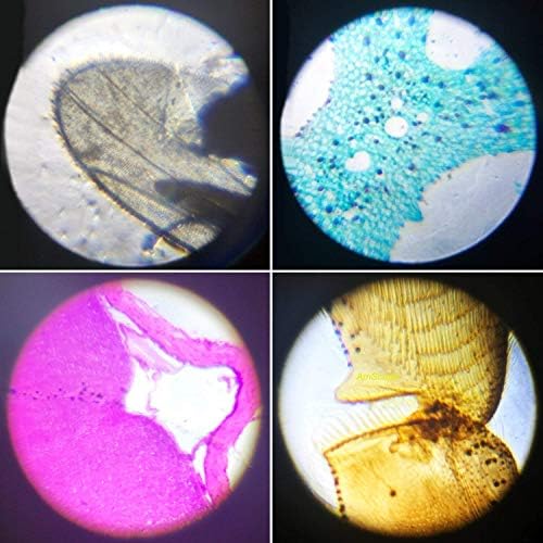 Little World Kids Microscope with LED Light - 100X/400X/1200X Magnification - Image 6