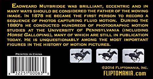 Muybridge Horse Flipbook for Kids 6-12, Animation Flip Book for Children - Image 2