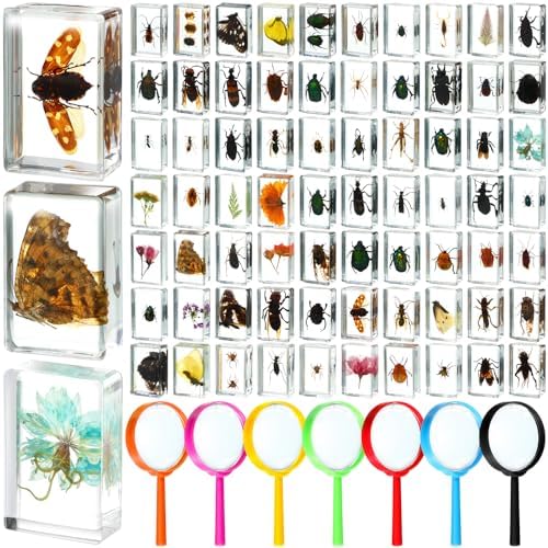 Lineshading 70 Pcs Resin Insects Specimen with 7 Magnifier for Kids Science by Lineshading