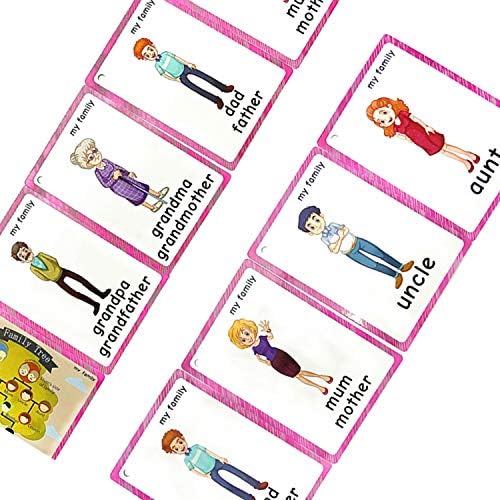 Family Tree flashcards for Toddlers(22 pcs)| English Learning Cards for Kindergarten Classroom Decoration | Perfect for Pre-K Decor Background Wall Stickers, Teacher/Autism Therapists Tools - Image 7