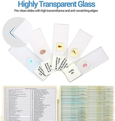 120 Microscope Slides with Specimens for Kids: Prepared Slides for Science - Image 3