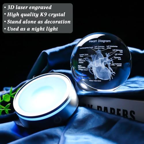 3D Heart Model Crystal Ball Doctors Gift, Cardiologist Gift for Men and Women with Colorful LED Base, Medical Statue for Psychology Graduation, Christmas Heart Anatomy Art Decor - Image 6