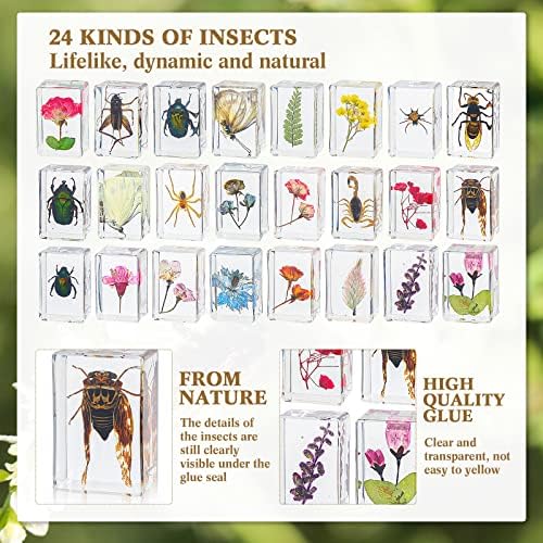 Geelin 24 Pcs Insect in Resin Specimen Set Specimen Bugs Plant Flower Paperweight Butterfly Science Mini Animals Figures for Biology Science Teacher Education Collection - Image 4
