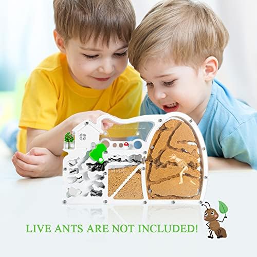 Ant Farms for Kids, Sand Ant Colony Observation Kit - Image 4