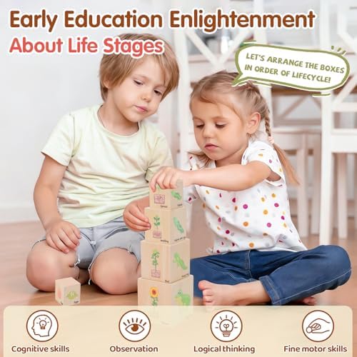 Wooden Life Cycle Nesting Blocks, Montessori Preschool Learning Toy - Image 5