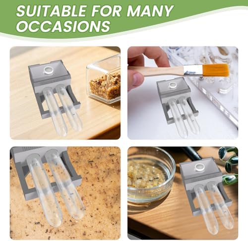 Transparent Mini Ant Farm with Dual Test Tubes for Thriving Ant Colony Observation (Gray) - Image 5