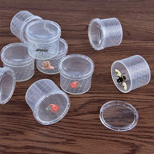 Coopay 40 Pieces Bug Viewer Critter Insect Cage Magnifying Insect Box Bug Magnifier Container Catcher Cage, Kids Science Nature Exploration Toys - Image 6