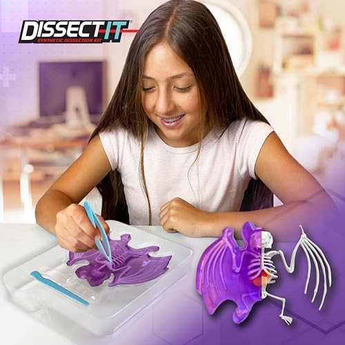 Dissect-It, Bat Dissection Kit, STEM Toys for Kids, Ages 6+ - Image 2