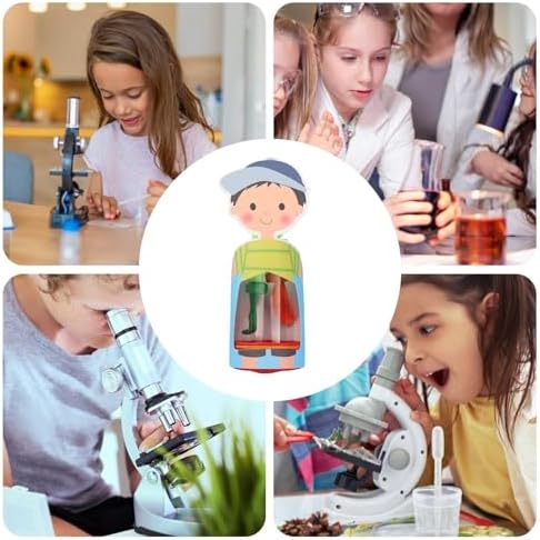Respiratory System Model, Lung Teaching Tool, Assembly with Interactive Design, Sturdy Educational Accessory, Science Experiment Tool with Clear Display, Anatomy Model for Preschool Home - Image 3