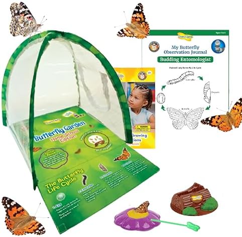 Insect Lore Butterfly Garden Experience | No Fee Prepaid Voucher | Redeem Raise and Release 5 Baby Painted Lady Caterpillars | Observation Habitat and All Supplies Included by InsectLore