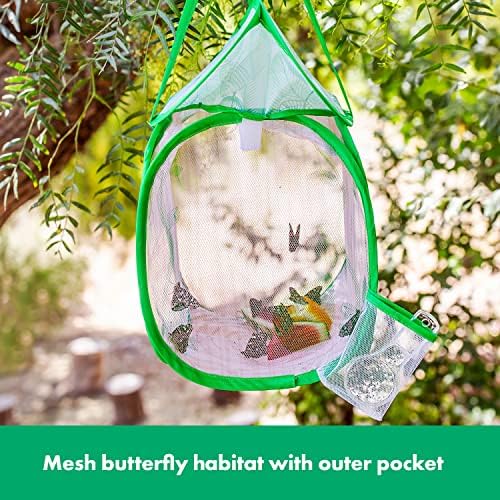 Educational Insights GeoSafari Jr. Butterfly Bungalow, Science Kit with Live Caterpillars, Home & Classroom Insect Habitat, Raise & Release Your Own Butterflies, STEM Gift for Kids Ages 4+ - Image 3