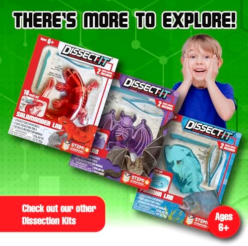 Dissect-It, Deluxe Frog Dissection Kit, STEM Toys for Kids, Ages 6+ - Image 6
