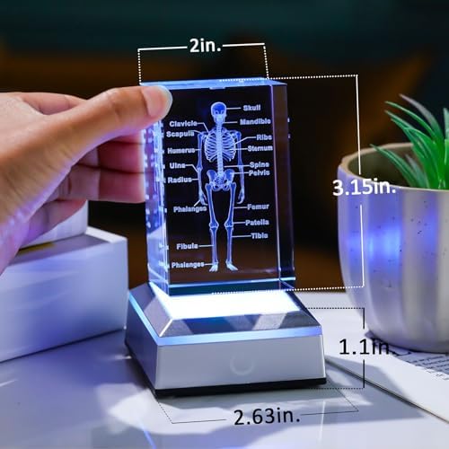 3D Crystal Human Skeleton Anatomy Model Medical Decor Gifts for Doctor, Laser Etched Science Biology Figurine Paperweight Psychology Graduation Gifts for Medical Students with LED Base - Image 5