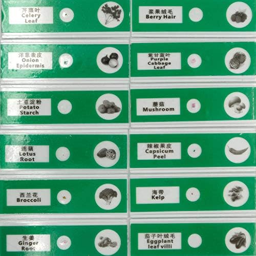 48pcs Prepared Plastic Microscope Slides Biological Specimen with 4 Boxes for Student Enlighten Education - Image 7