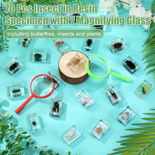 Lineshading 70 Pcs Resin Insects Specimen with 7 Magnifier for Kids Science - Image 4