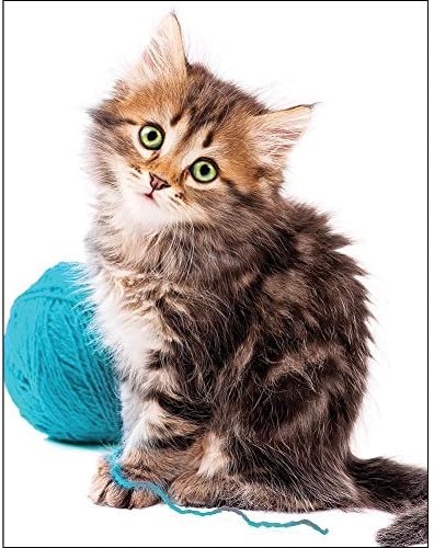 EuroGraphics Cat with Wool Mini Puzzle (100-Piece), 8104-0620, Multi - Image 2