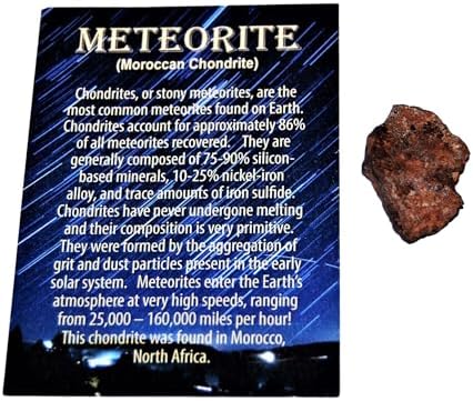 Moroccan Chondrite Stony Meteorite - ONE - Size (M) 4 to 10 gram by Fossils%2C+Meteorites%2C+%26+More