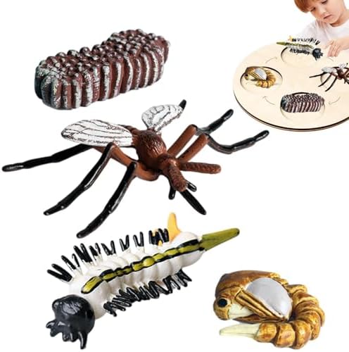 Life Cycleinsects Toys - 6Pcs Educational Figurine Set Ladyybuges by Unknown