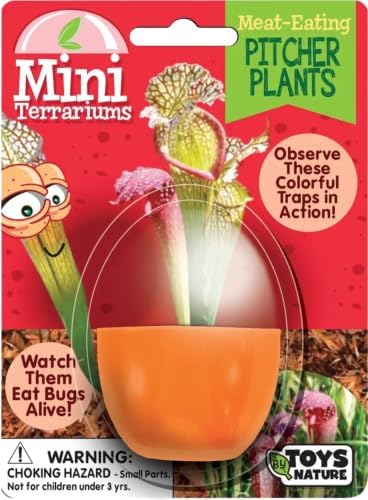 Toys by nature Mini Terrariums - Meat-Eating Pitcher Plants by ToysByNature