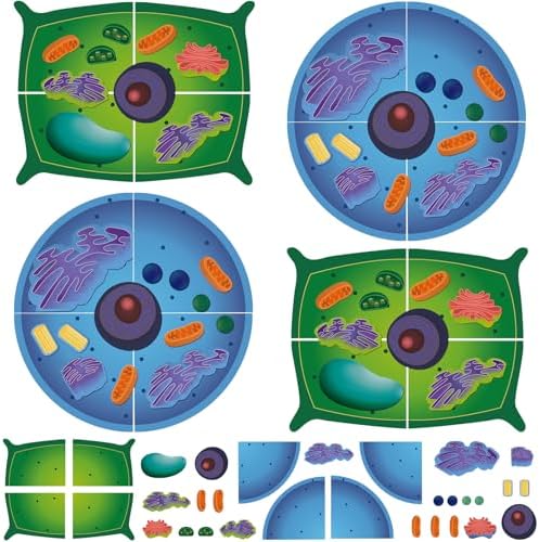 2 Set Magnetic Animal and Plant Cell Anatomy Biology Model Set by VercanMonth