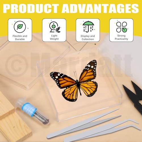 Mardatt 15Pcs Making Insect Specimen Tools Kit, Insect Pinning Kit with Insect Pinning Block, Insect Pinning Board, Insect Pins, Wings Pressing Paper, Insect Display Case, Tweezers, Scissors - Image 4