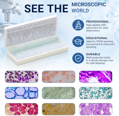 Tellegloww 60 Pcs Prepared Microscope Slides with Specimens for Kids - Image 5