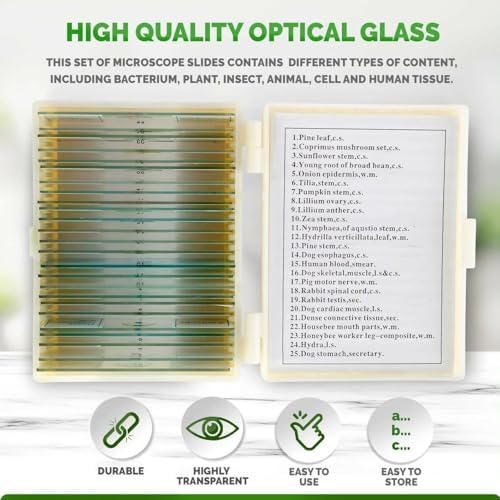 AmScope PS25P Prepared Microscope Slides, Plastic Case, 25pc - Image 2