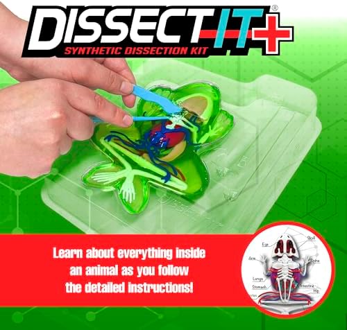 Dissect-It, Deluxe Frog Dissection Kit, STEM Toys for Kids, Ages 6+ - Image 2