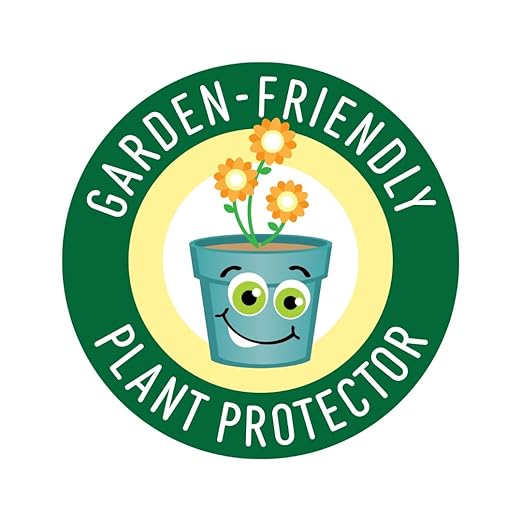 Insect Lore Ladybug Land – Live Ladybug Growing Kit with Pre-Paid Voucher for 10-15 USA Grown Larvae | STEM Educational Insect Habitat for Kids | Observe, Raise & Release Ladybugs