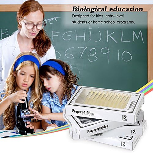 Prepared Plastic Microscope Slides with Specimens for Kids, Microscope Sample Slides Full Range of Animal/Plant/Insect/Blood Biology Slides Gift Set for Kids Microscope (60PCS) - Image 6