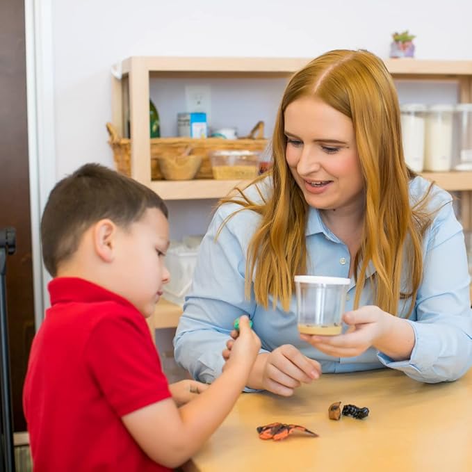Butterfly Garden: Original Habitat and Two Live Cups of Caterpillars with Journal – Life Science & STEM Education – Butterfly Science Kit - Plus Butterfly Life Cycle Stages Figurines