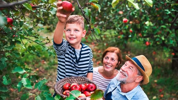 Gardenera Premium Apple Potting Soil Mix - Optimal Nutrient-Rich Blend for Thriving and Juicy Apples - 4 Quart