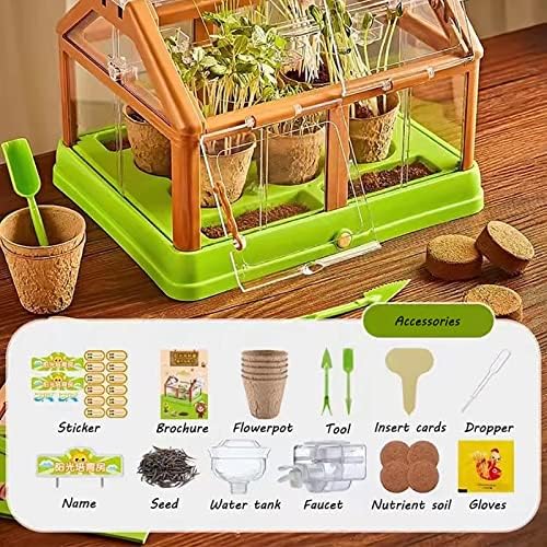 DIY Planting Sun Room Children's, Small Scientific Experiment of Vegetable Plant Observation in Sunshine Room Plant Observation House, and a Fun Lighting Toy Set (Color : Red) - Image 3