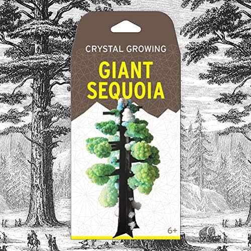 Crystal Growing Giant Sequoia | Copernicus Toys Official Terraformer kit | Grows in Hours | Facts and Instructions - Image 3