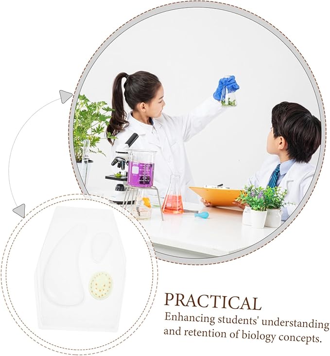 Early Educational Stem Plant Cell Model Kit for Classroom Science Learning Portable Interactive Biology Tool with Detailed Experiment Guide for Teachers