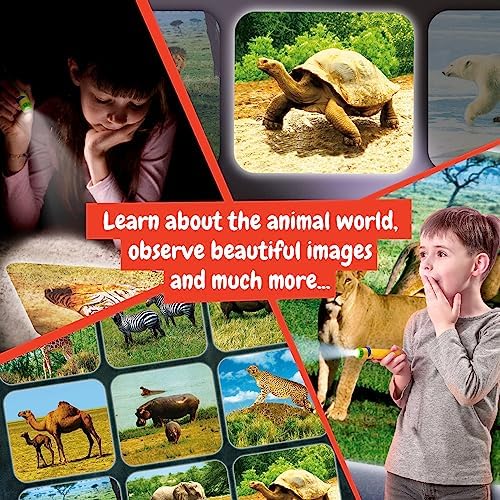 Science4you Animal Torch Projector for Children 4+ Years, Projector Torch for Kids + 24 Images and Poster Included, Educational Gift for Kids Age 4+ - Image 6
