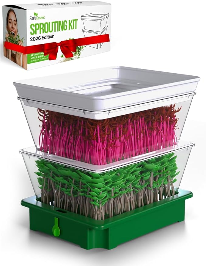 Premium Alfalfa Sprouting Seeds – Non GMO, Organic Seeds from The USA (2-Tier Sprouting Kit)