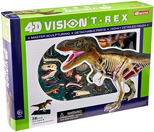 Famemaster 4D Vision T-Rex Anatomy Model by 4D+Master