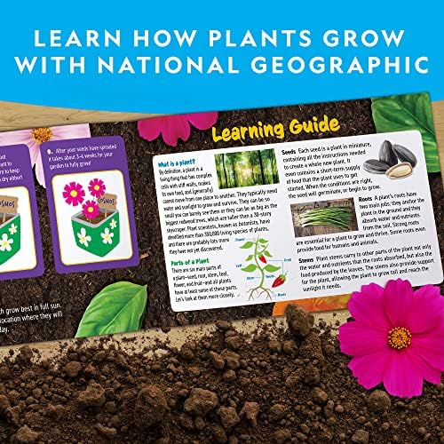 National Geographic Flower and Herb Gardening Activity Kit for Kids - Image 6