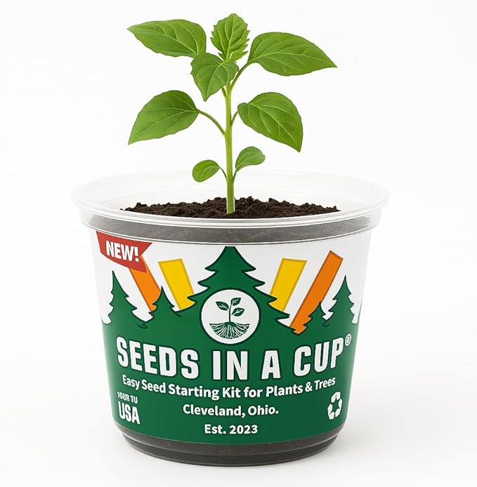 Seeds In A Cup® Pumpkin Grow Kit – Indoor Gardening Starter Set to Grow Mini Pumpkins, Fun Educational Gift for Kids & Adults, Quick Sprouting Greenhouse Planter