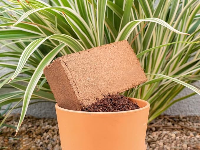 Coco Coir for Plants 3-Pack – 2.4 Gallons Compressed Coconut Coir Bricks, 10 lb. Organic, Low EC, pH Balanced Coco Peat for Indoor & Outdoor Gardening, Potting Soil, Indoor Plant Soil