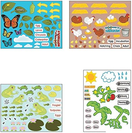 Life Cycle Sticker Scene Assortment ~ 3 each of 4 Life Cycles ~ 11" x 8 1/2" ~ New by Unknown