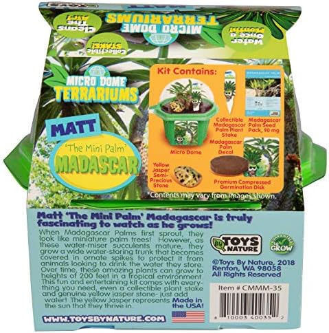 Toys By Nature Character Micro Domes Palm Plant Terrarium Starter Kit, Decorative and Easy-to-Grow Mini Terrariums with Complete Supplies and Genuine Jasper Stone! (Matt The Madagascar Mini Palm) - Image 3