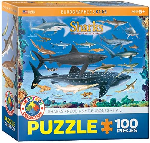 Sharks 100 Piece Jigsaw Puzzle by EuroGraphics